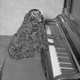 Illustration for article titled Vintage Photos Reveal Century-Long Obession with Dressing Up Pets